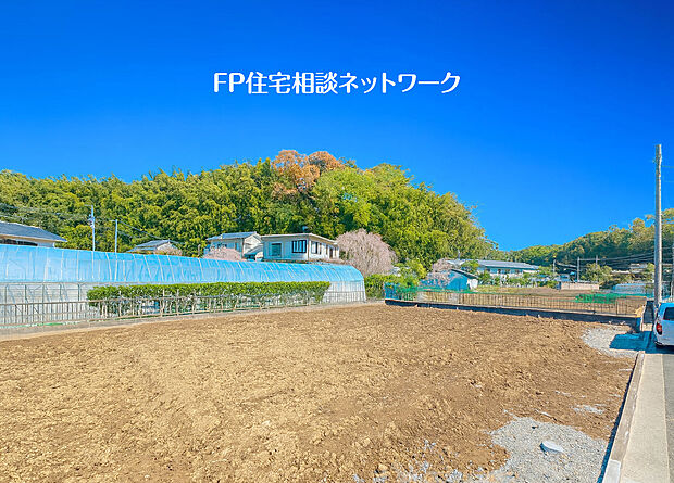 緑に恵まれたエリアで、毎日のお散歩も気持ちよさそうです。自然に包まれた穏やかな暮らしができそうです。