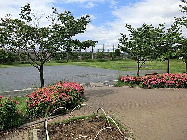 早渕公園まで900ｍ。川を見下ろす高台にある広い緑の公園。せきれいのみちにも隣接しています。さくらの季節には緑道沿いにみごとな桜の花が咲き、お花見もできます。ランニングコースや遊具もあります。