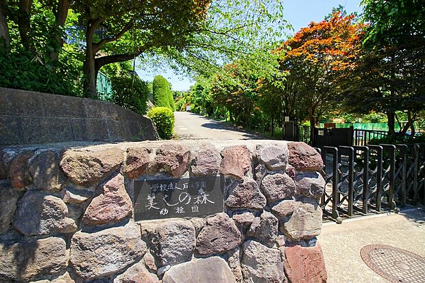 美しの森幼稚園（約1,500m）