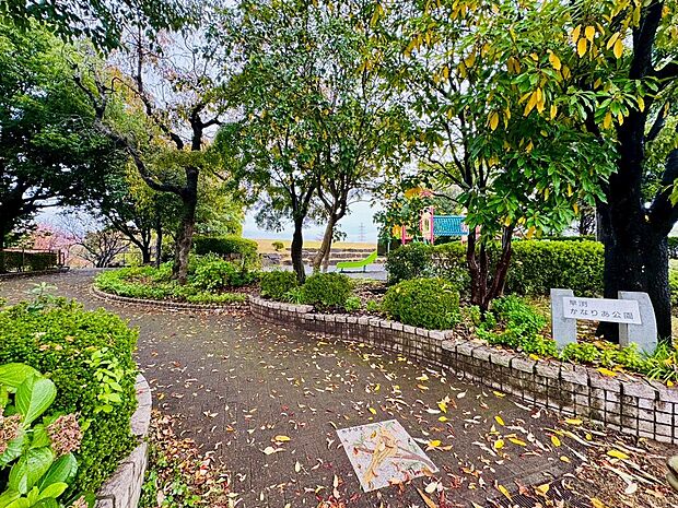 早渕かなりあ公園（約650m）