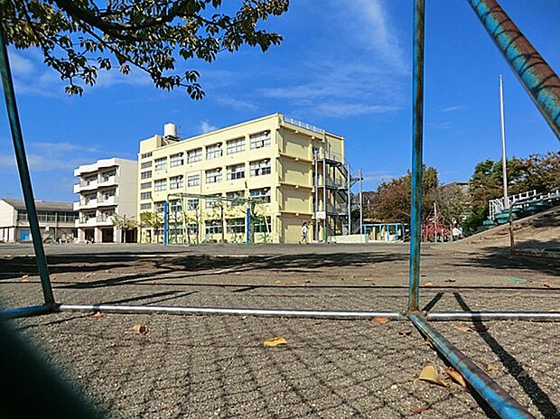 横浜市立駒林小学校(約350m)