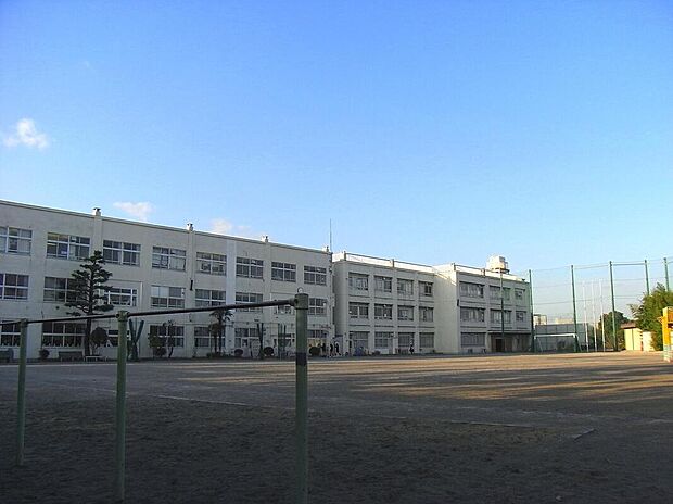 横浜市立一本松小学校(約170m)
