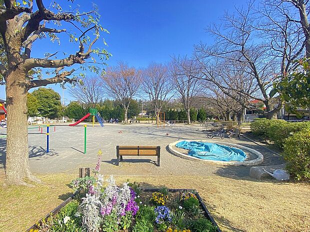 大上第一公園(約750m)