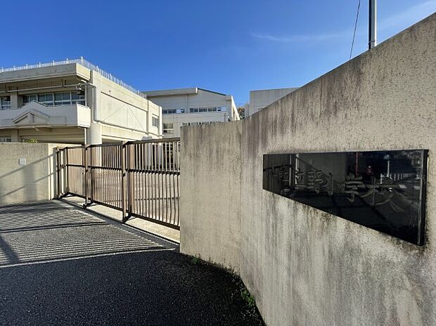 横浜市立立野小学校(約900m)