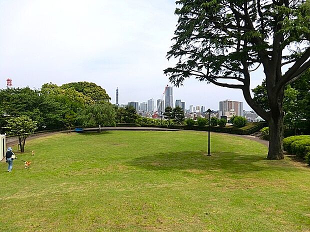 浅間台みはらし公園(約850m)