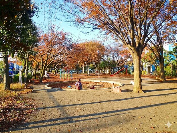 井田公園(約500m)