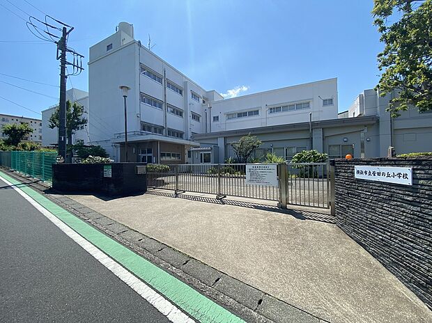 横浜市立菅田の丘小学校（約750m）