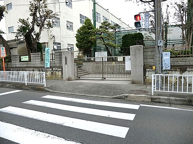 横浜市立一本松小学校（約270m）