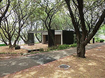 菊名桜山公園 240m