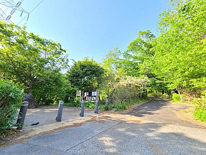 菅生緑地西地区 水沢の森 1000m