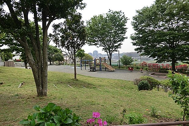 峰岡町三丁目公園（約210m）