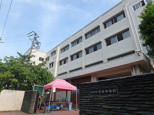 横浜市立新田中学校(約500m)