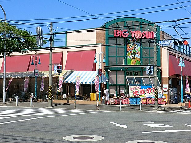 ビッグヨーサン十日市場店(約800m)