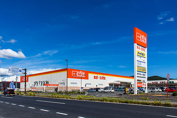 ザ・ビッグ小郡店
