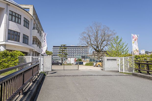 白石小学校