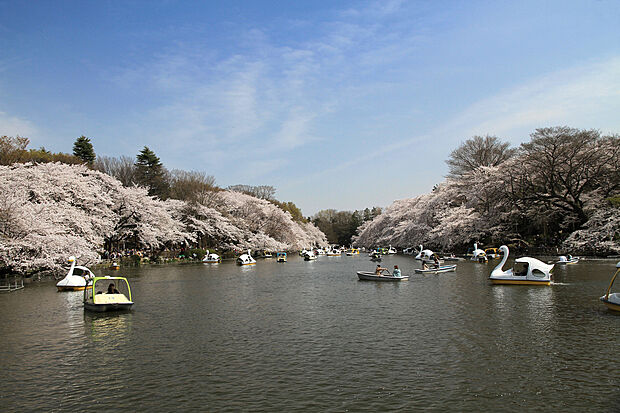 井之頭恩賜公園（約89m）