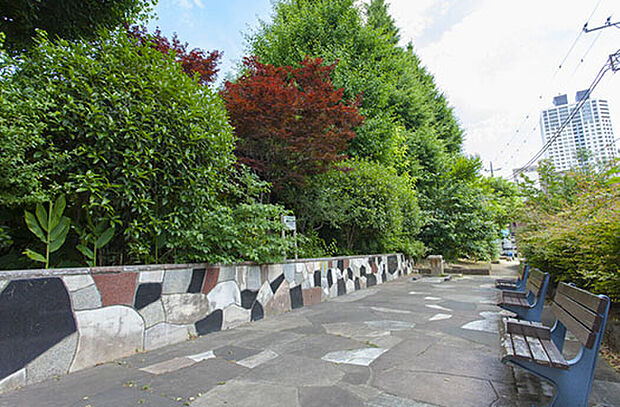 練馬いちょう並木緑地（約186m）