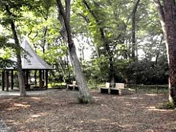 三井の森公園（約217m）