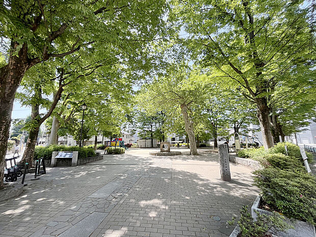 高円寺中央公園（約240m）