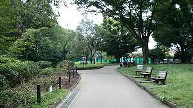 駒場野公園(約670m)