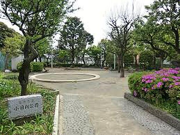 小日向公園(約342m)