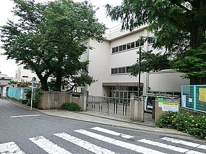 杉並区立松ノ木小学校 1128ｍ(徒歩15分)