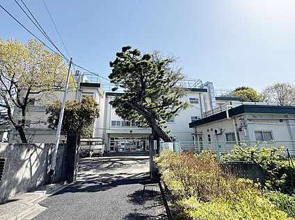 杉並区立井荻小学校 773ｍ(徒歩10分)