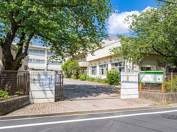市川市立若宮小学校（約600m・徒歩8分）