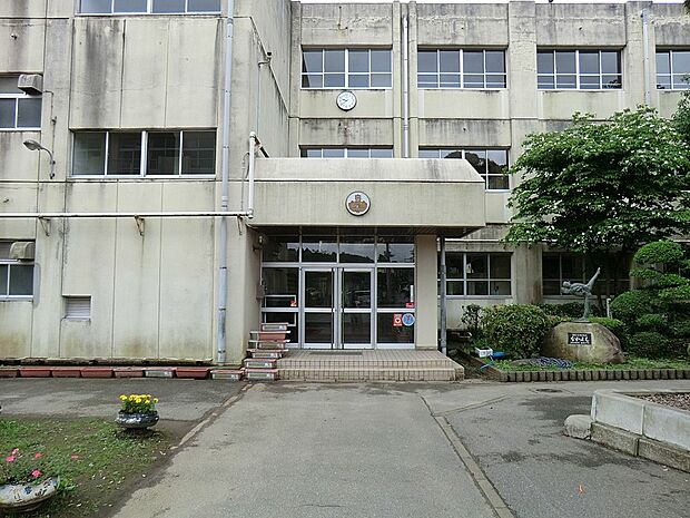 市原市立白幡小学校(約1,300m)