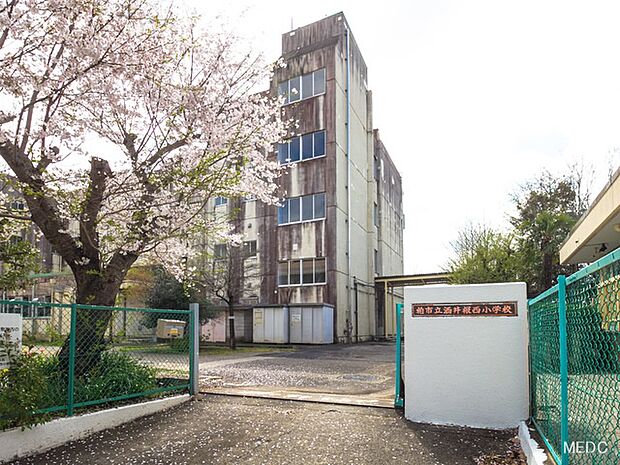 柏市立酒井根西小学校(約1,200m)