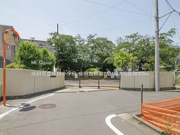成田市立成田小学校（約800m）