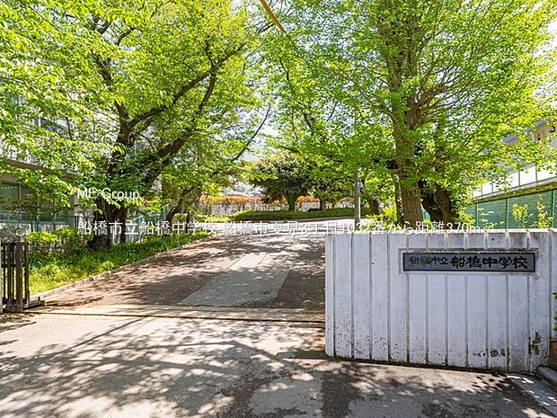 船橋市立船橋中学校(約370m)