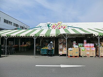 スーパーガッツ姉崎店 1100m(14分)
