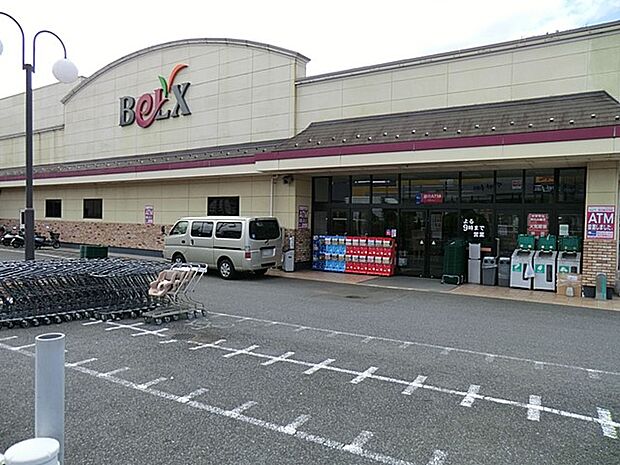 ベルクス市川堀之内店（約900m・徒歩12分）