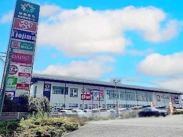 ロピア ゆめまち習志野台モール店（約700m）