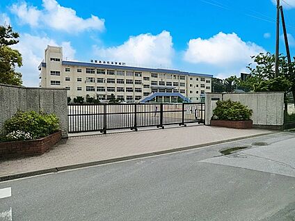市川市立下貝塚中学校 520m
