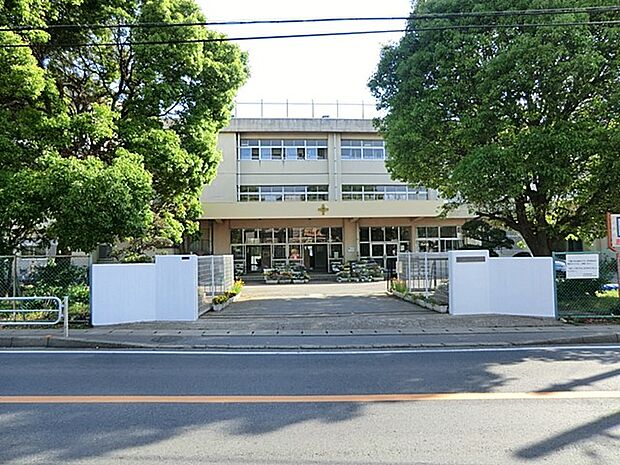 柏市立酒井根小学校(約800m・徒歩10分)