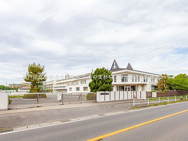 松戸市立小金北中学校(約990m・徒歩13分)