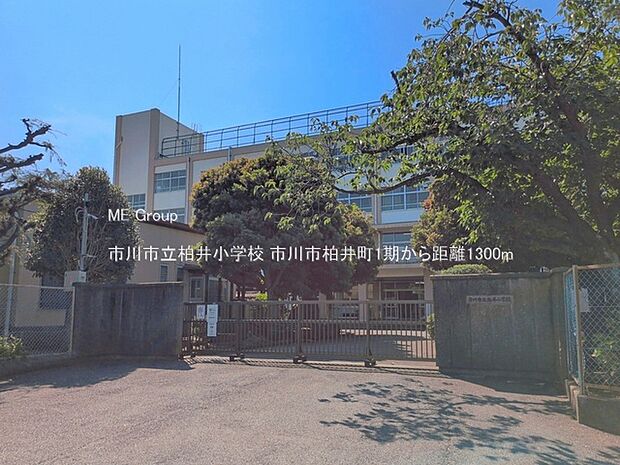 市川市立柏井小学校(約1,300m・徒歩17分)