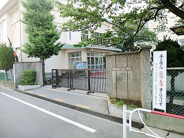市川市立信篤小学校(約620m・徒歩8分)