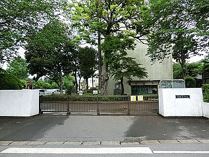 佐倉市立佐倉小学校 1920m(24分)