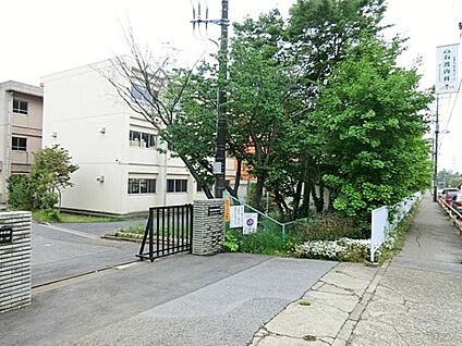 千葉市立千城台南中学校 800m(10分)