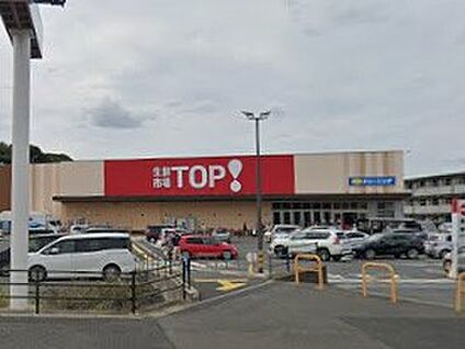 生鮮市場TOP！ 中和倉店 800m(10分)