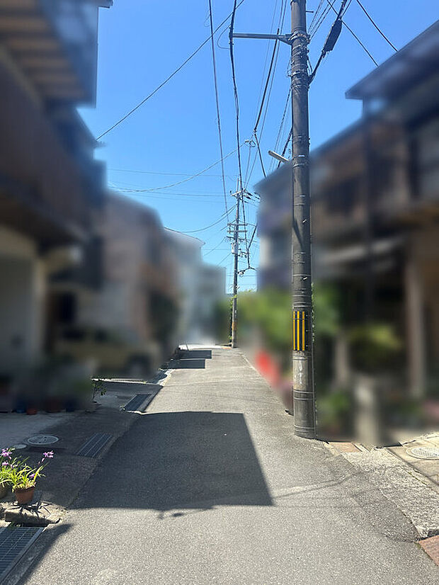 前道
