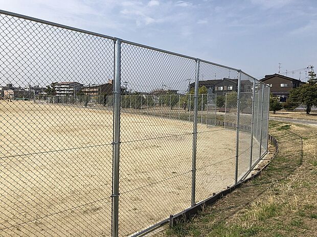 大東中央公園（約800m）