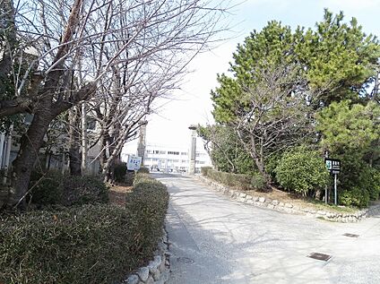 碧南市立棚尾小学校 950ｍ