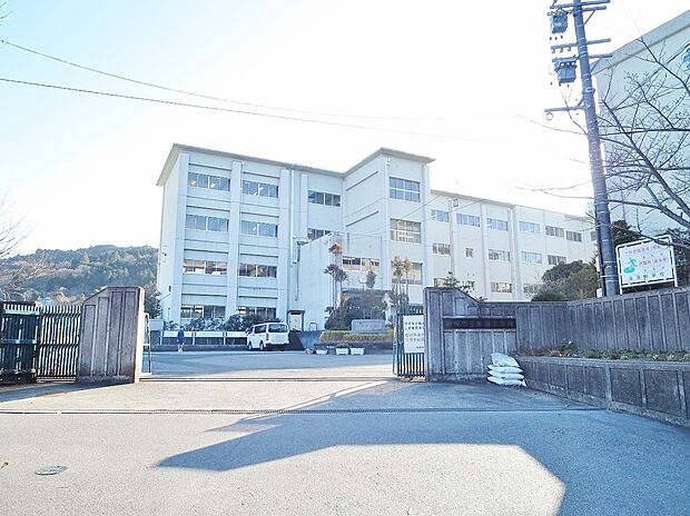 岡崎市立東海中学校(約800m)