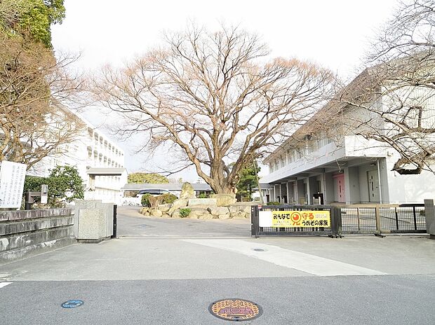岡崎市立梅園小学校(約750m)