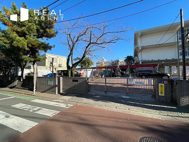 横浜市立白幡小学校（約650m）