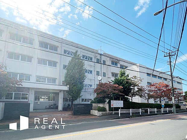 横浜市立新田中学校(約1,160m)